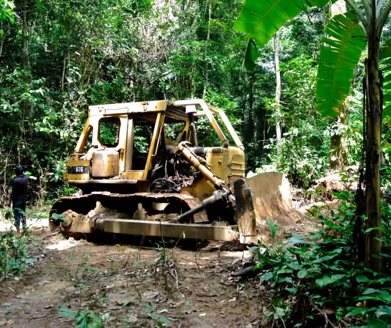 Bulldozer en el Parque Nacional Cross River